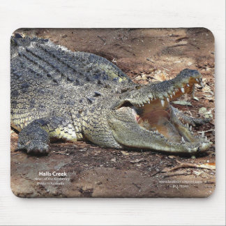 Halls Creek Croc Mouse Mat