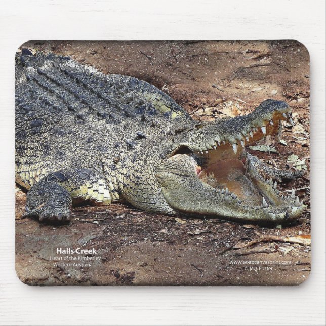 Halls Creek Croc Mouse Mat (Front)