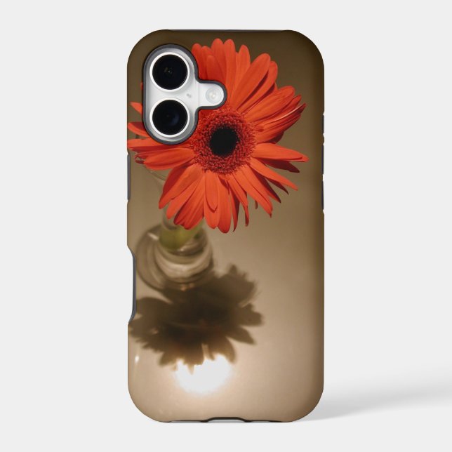 Halo & Silhouette Daisy (Back)