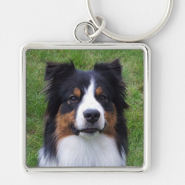 HALO the Aussie Dog Key Ring (Front)