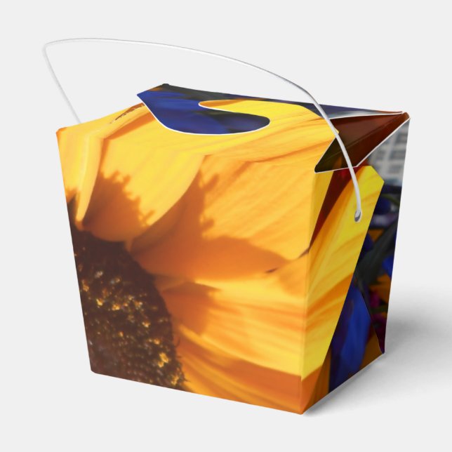 Halse Favour Box (Back Side)
