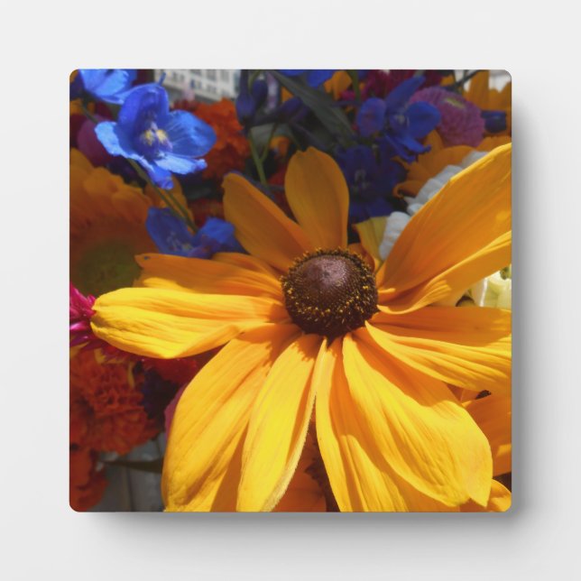 Halse Plaque (Front)