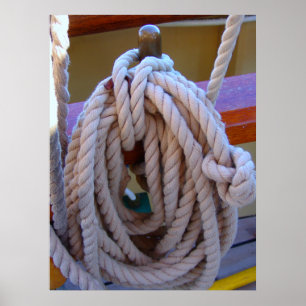 halyard poster