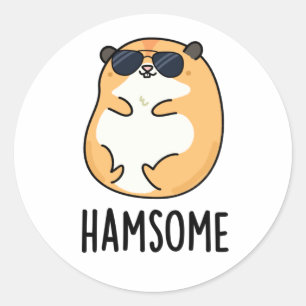 Ham-some Funny Handsome Hamster Pun  Classic Round Sticker
