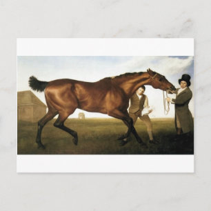 Hambletonian by George Stubbs Postcard