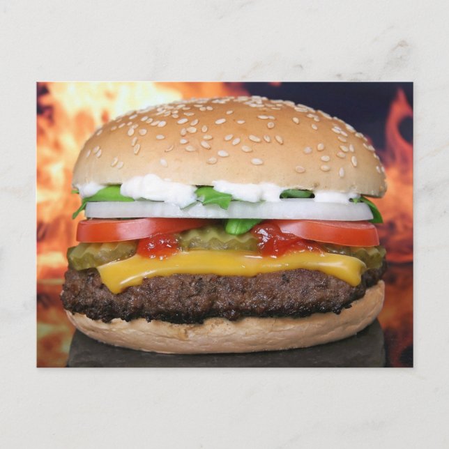 HAMBURGER CHEESEBURGER FUNNY POSTCARDS (Front)