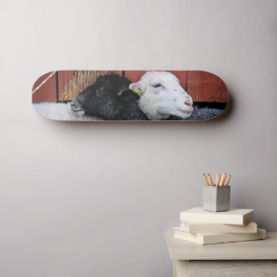 HAMbWG Black Sheep White Sheep Skateboard