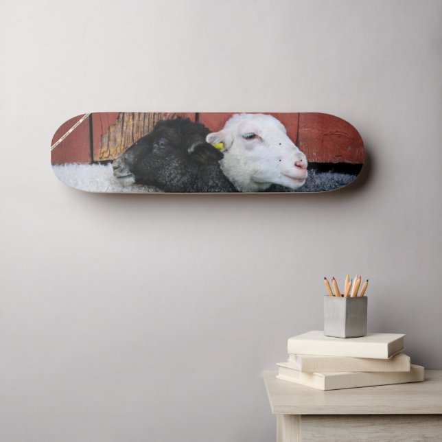 HAMbWG Black Sheep White Sheep Skateboard (Wall Art (Horz))