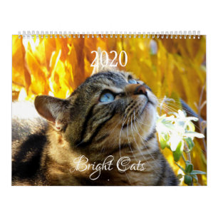 HAMbWG - Bright Cats Calendar