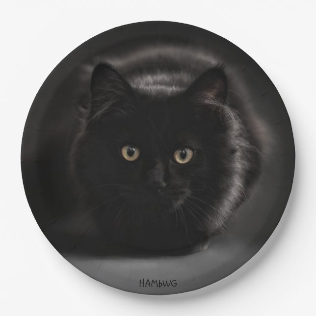 HAMbWG - Custom Paper Plates 9" -Black Cat (Front)