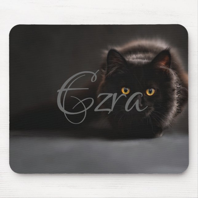 HAMbWG - Mouse Pad - Black Cat (Front)