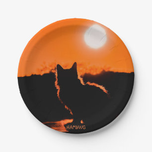 HAMbWG - Paper Plate - Cat and Moon