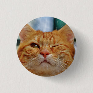 HAMbWG - Square Button - Cat Winking