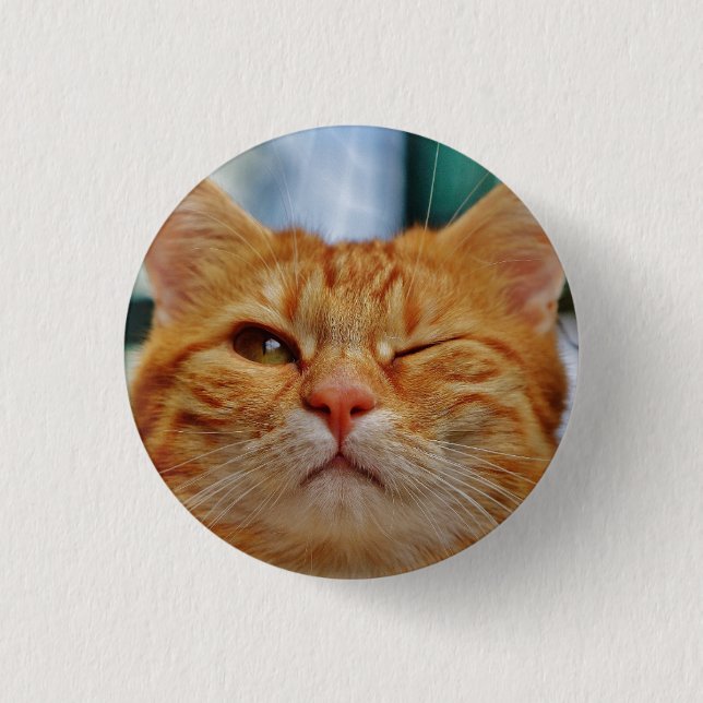 HAMbWG - Square Button - Cat Winking (Front)