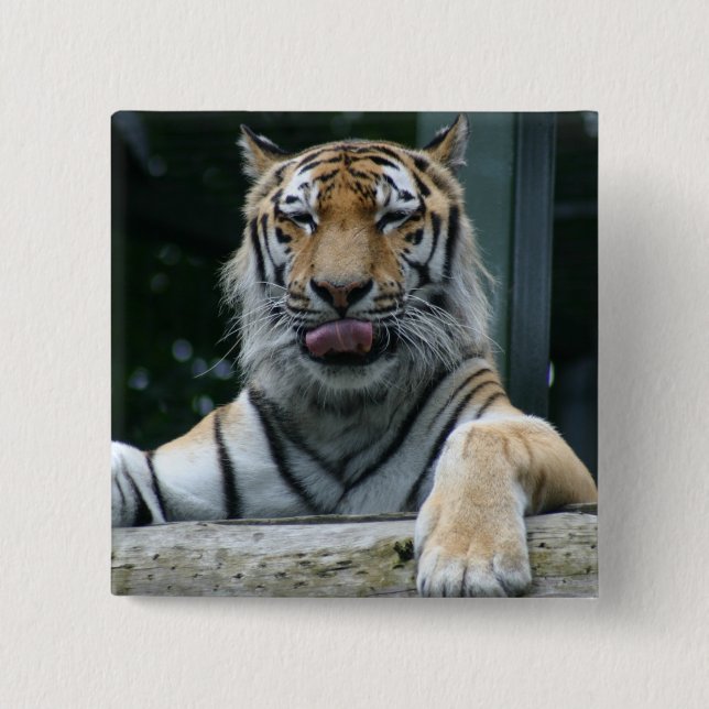 HAMbWG - Square Button - Tiger (Front)