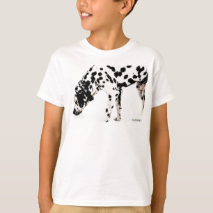 HAMbWG Sweatshirt - Dalmation T-Shirt