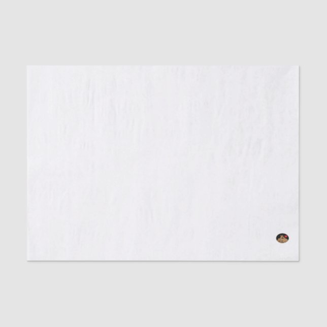 HAMbyWG - 10lb Tissue Paper, Light Blue Tissue Paper (Front)