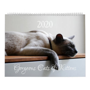 HAMbyWG - 2020 Gorgeous Cats Calendar