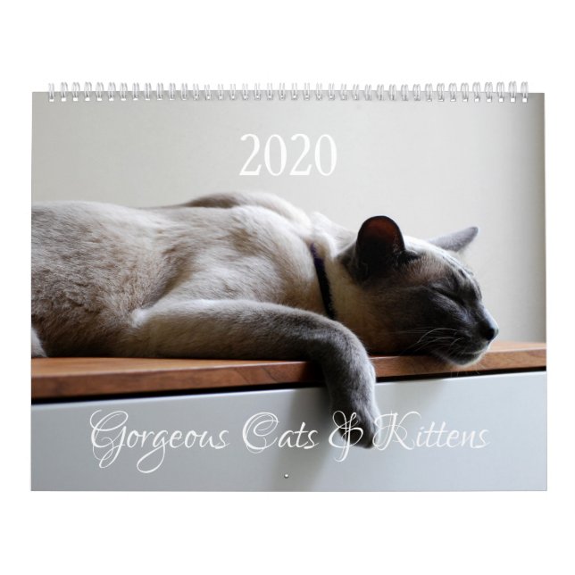 HAMbyWG - 2020 Gorgeous Cats Calendar (Cover)