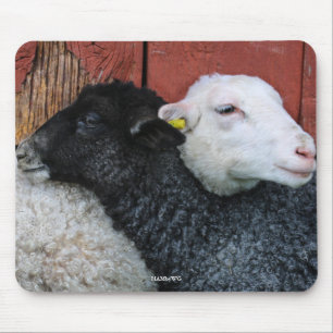 HAMbyWG - Black Sheep White Sheep Mouse Pad