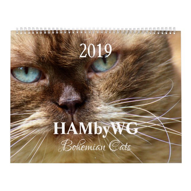 HAMbyWG - Bohemian Cats Calendar (Cover)