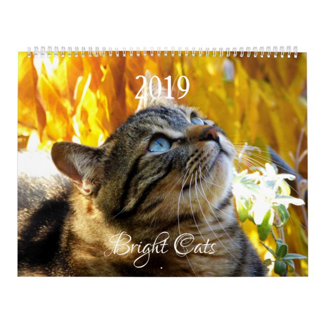 HAMbyWG - Bright Cats Calendar (Cover)