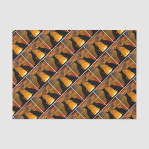 HAMbyWG - Dog Shadows Tissue Paper