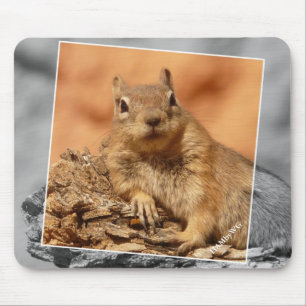 HAMbyWG - Famous Squirrel - Mouse Pad