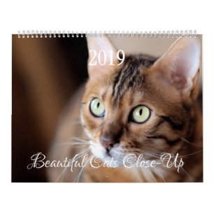 HAMbyWG - Gorgeous Cats Calendar