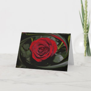 HAMbyWG - Greeting Card - Beautiful Red Rose
