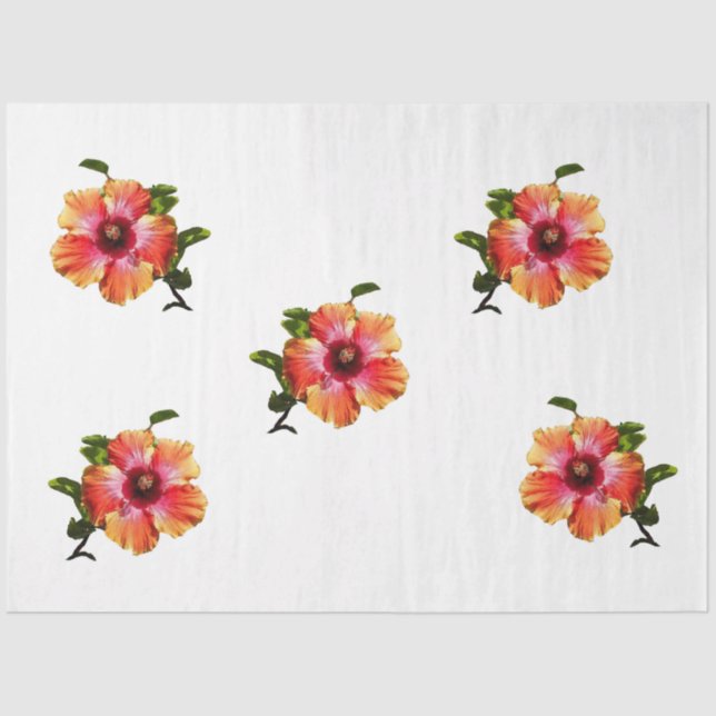 HAMbyWG Hawaiin Hibiscus Flower Tissue Paper (Front)
