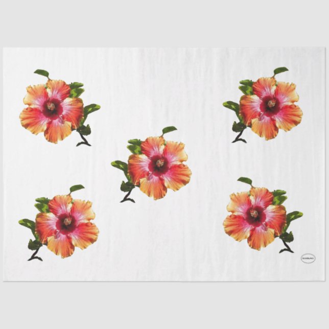 HAMbyWG Hibiscus Flower - Tissue Paper (Front)