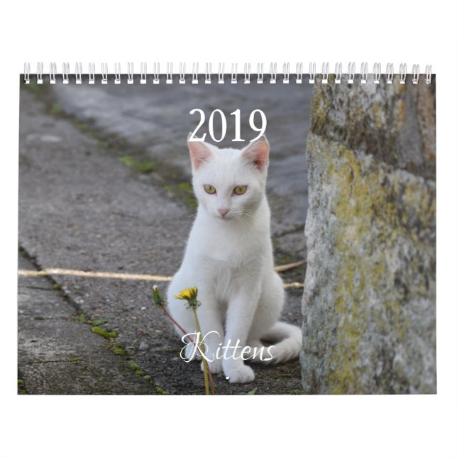 HAMbyWG Kitten Calendar (Cover)