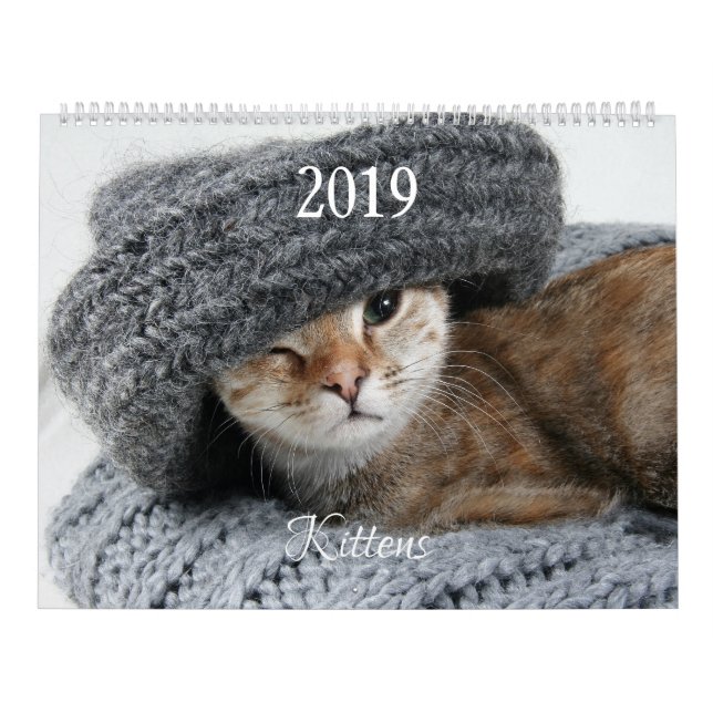 HAMbyWG Kitten Calendar (Cover)
