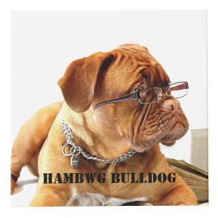 HAMbyWG  Make Your Own Custom 4" Photo Cube