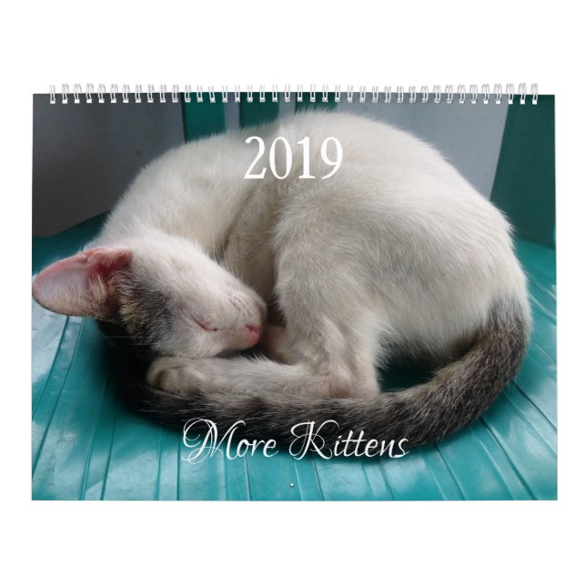 HAMbyWG - More Kittens Calendar (Cover)