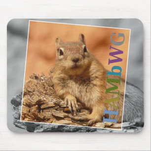HAMbyWG - Mouse Pad - Famous Squirrel