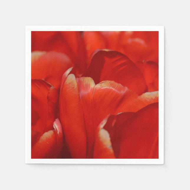 HAMbyWG - Paper Napkin - Red Tulips (Front)