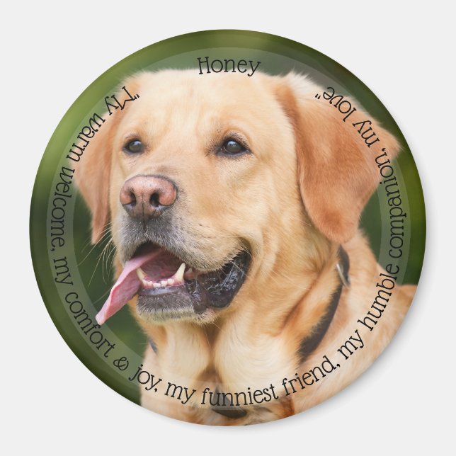 HAMbyWG Pet Magnet (Front)