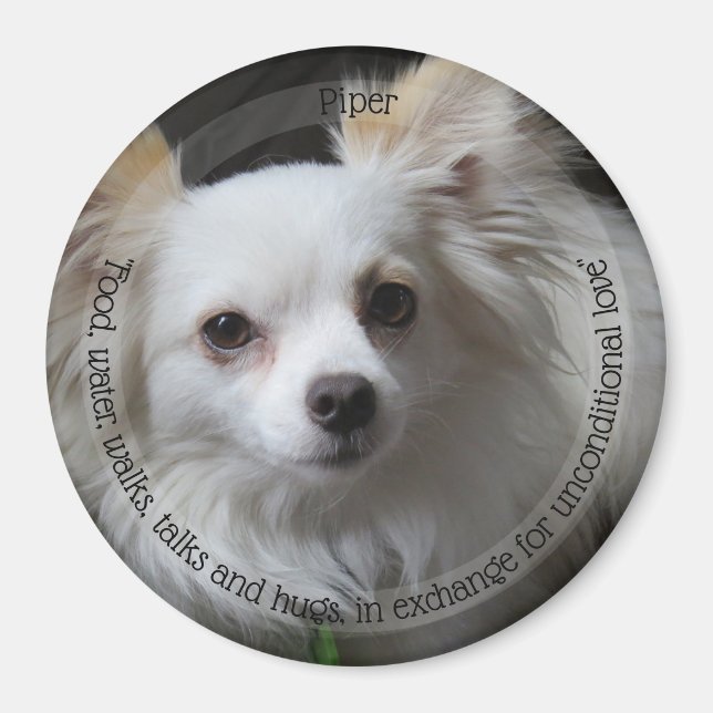 HAMbyWG Pet Magnet (Front)