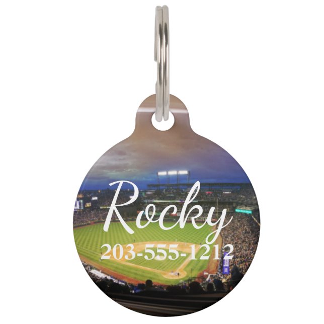 HAMbyWG - Pet Name Tag - Baseball Stadium (Front)