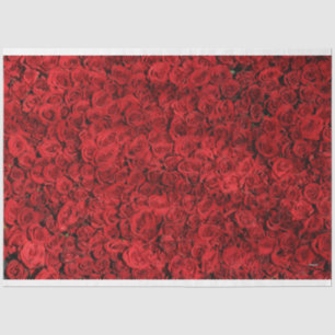 HAMbyWG Red Roses Tissue Paper