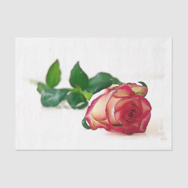 HAMbyWG - Single Rose Tissue Paper (Front)
