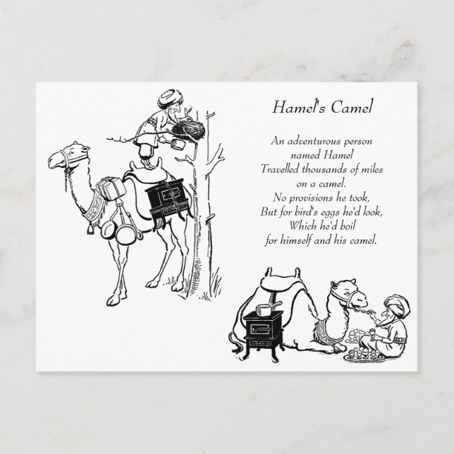 Hamel's Camel Limerick Postcard (Front)