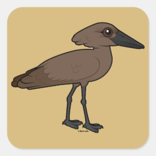 Hamerkop Square Sticker