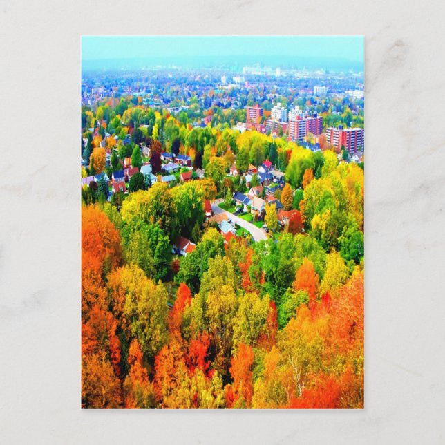 hamilton ontario autumn escarpment trees postcard (Front)