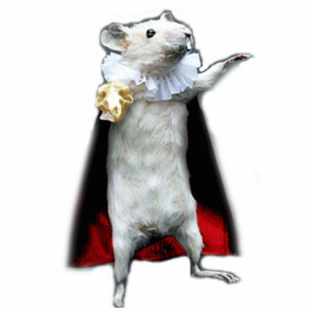 Hamlet von Schnitzel statue Standing Photo Sculpture (Front)