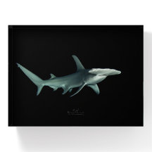 Hammerhead block 001  ハンマーヘッドシャーク ペーパーウェイト