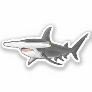 Hammerhead Shark
