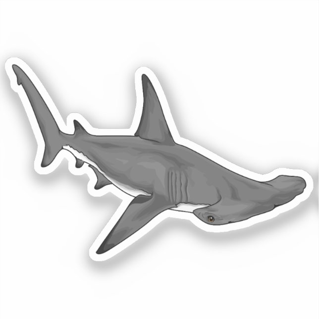 Hammerhead Shark B (Front)
